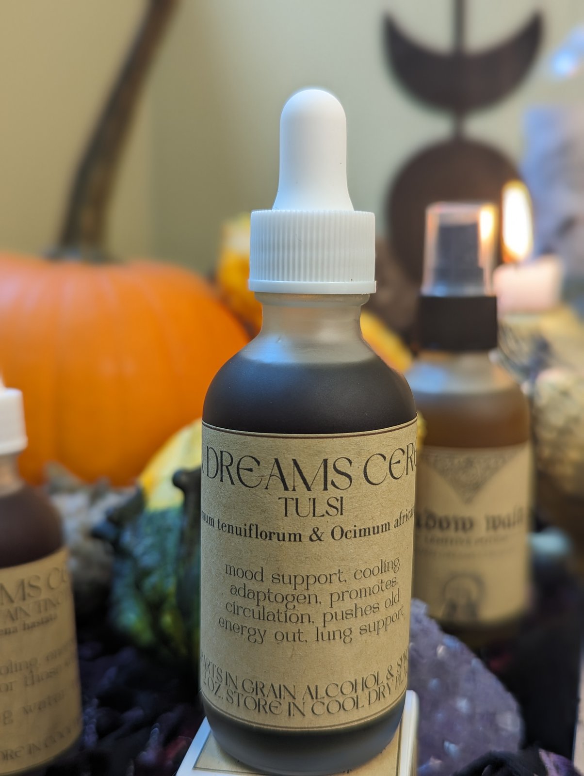 Tulsi Rama & Tulsi Krishna (Ocimum tenuiflorum & Ocimum africanum)