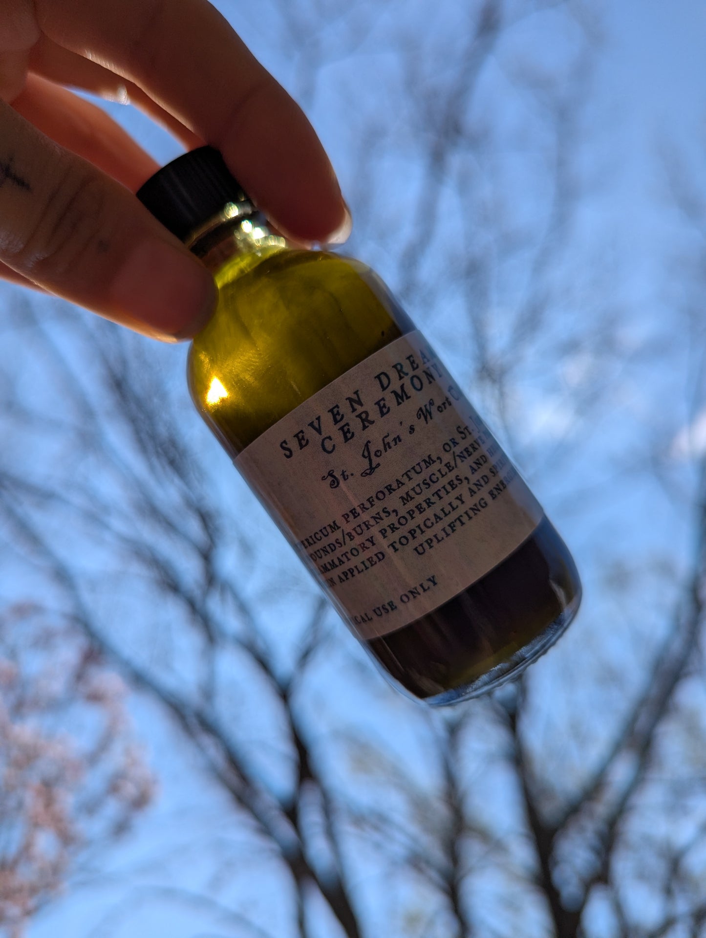 Dreamweaver's Salve Kit