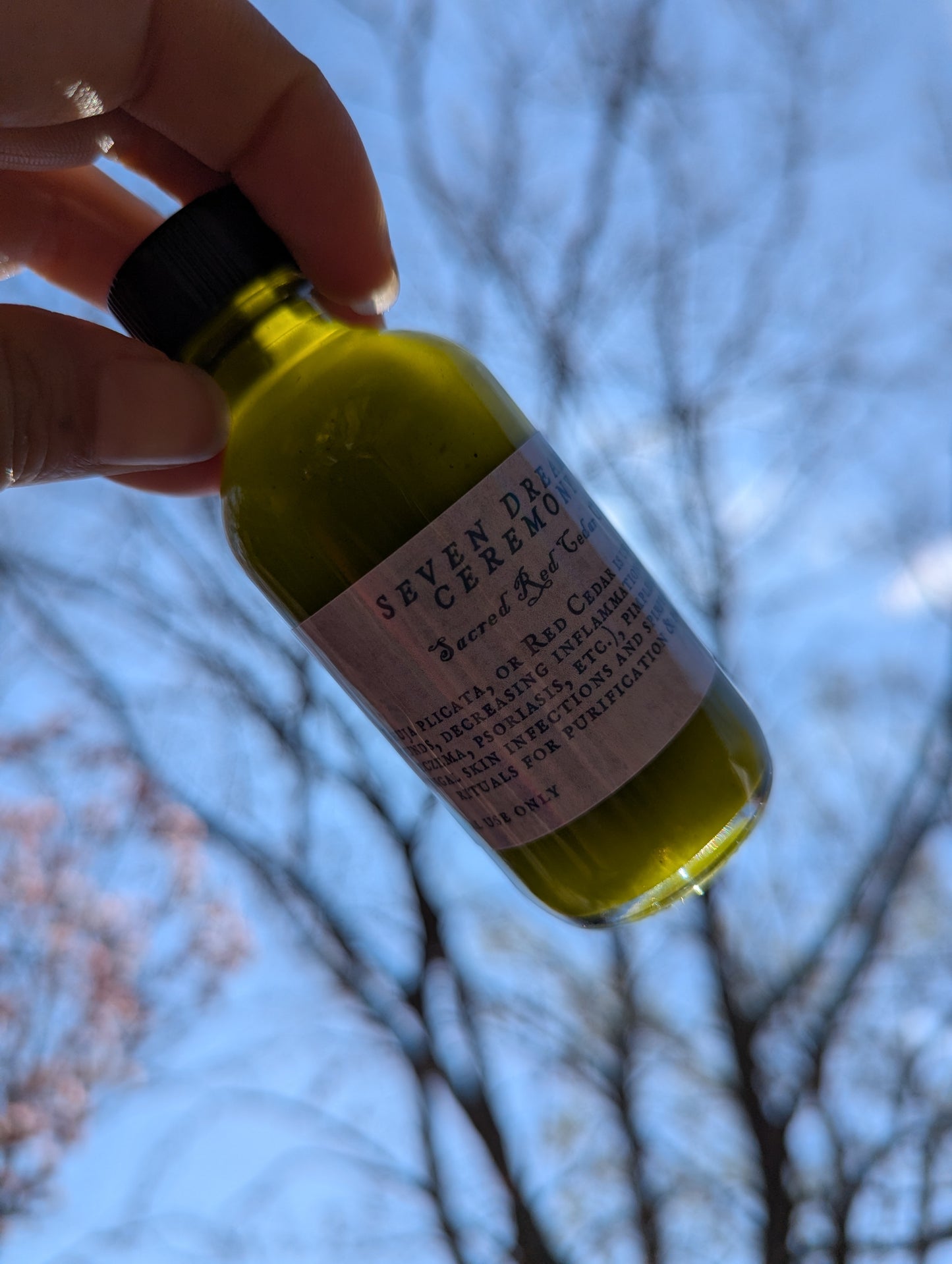 Dreamweaver's Salve Kit