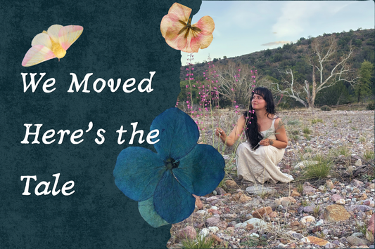 We Moved! Here's The Tale...