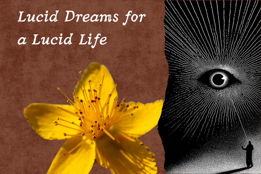 You Experienced a Lucid Dream; What Next?